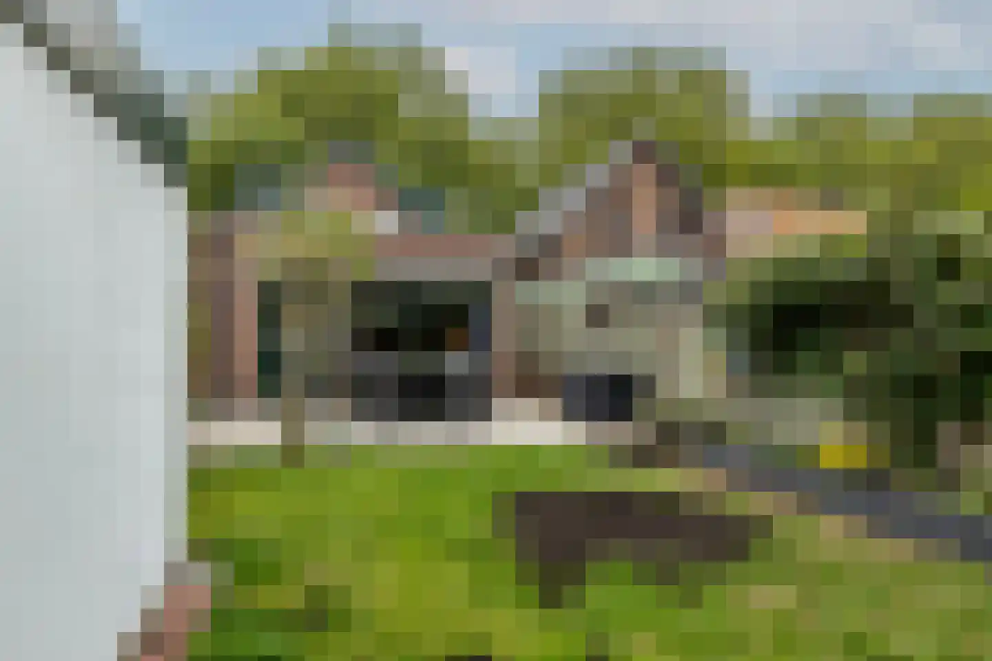 Koninginneweg 73 Rotterdam thumbnail 38