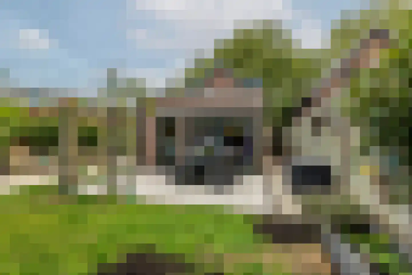 Koninginneweg 73 Rotterdam thumbnail 40