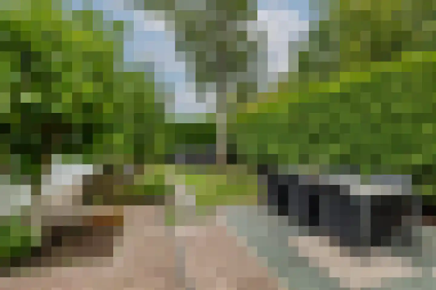 Koninginneweg 73 Rotterdam thumbnail 43