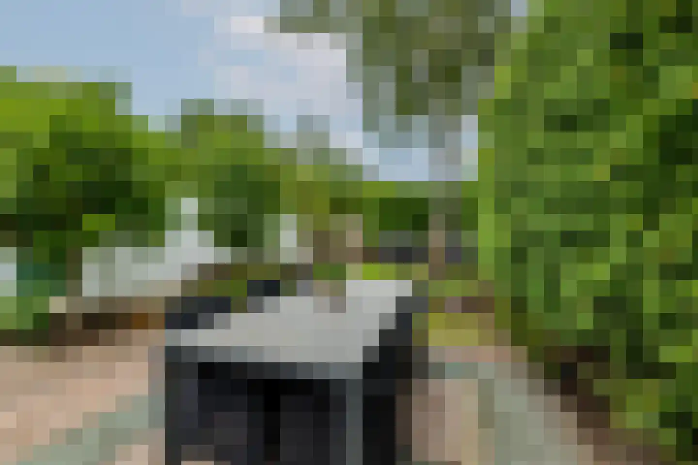 Koninginneweg 73 Rotterdam thumbnail 44