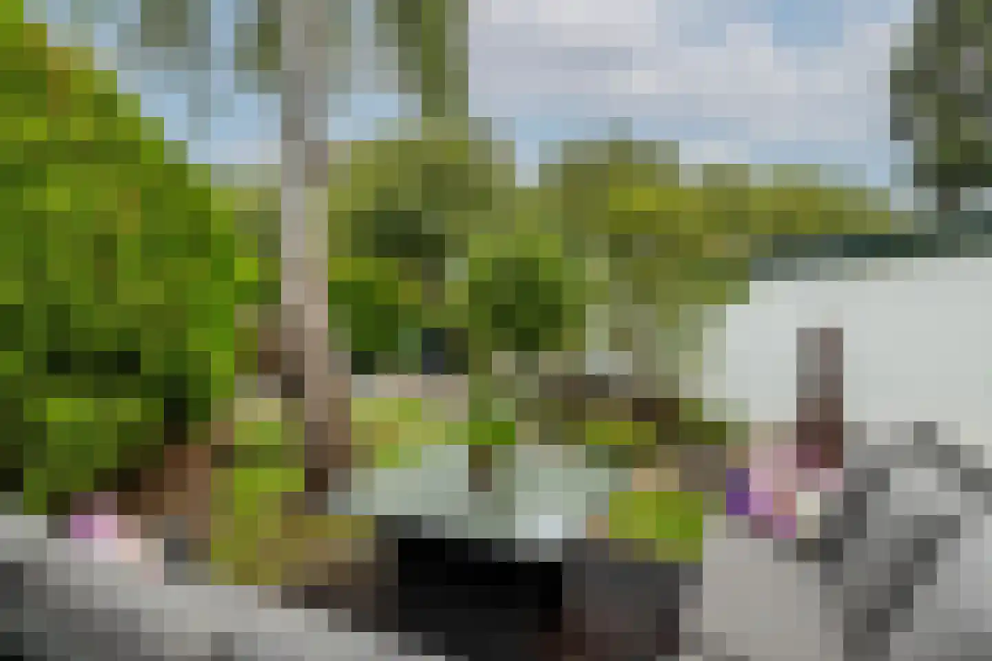 Koninginneweg 73 Rotterdam thumbnail 46