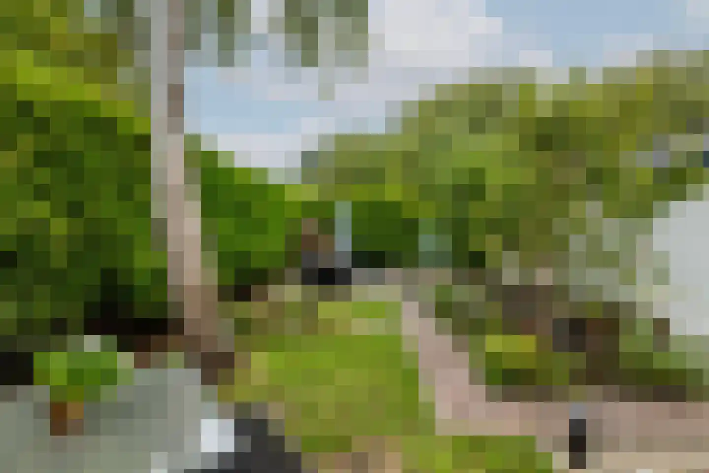 Koninginneweg 73 Rotterdam thumbnail 47