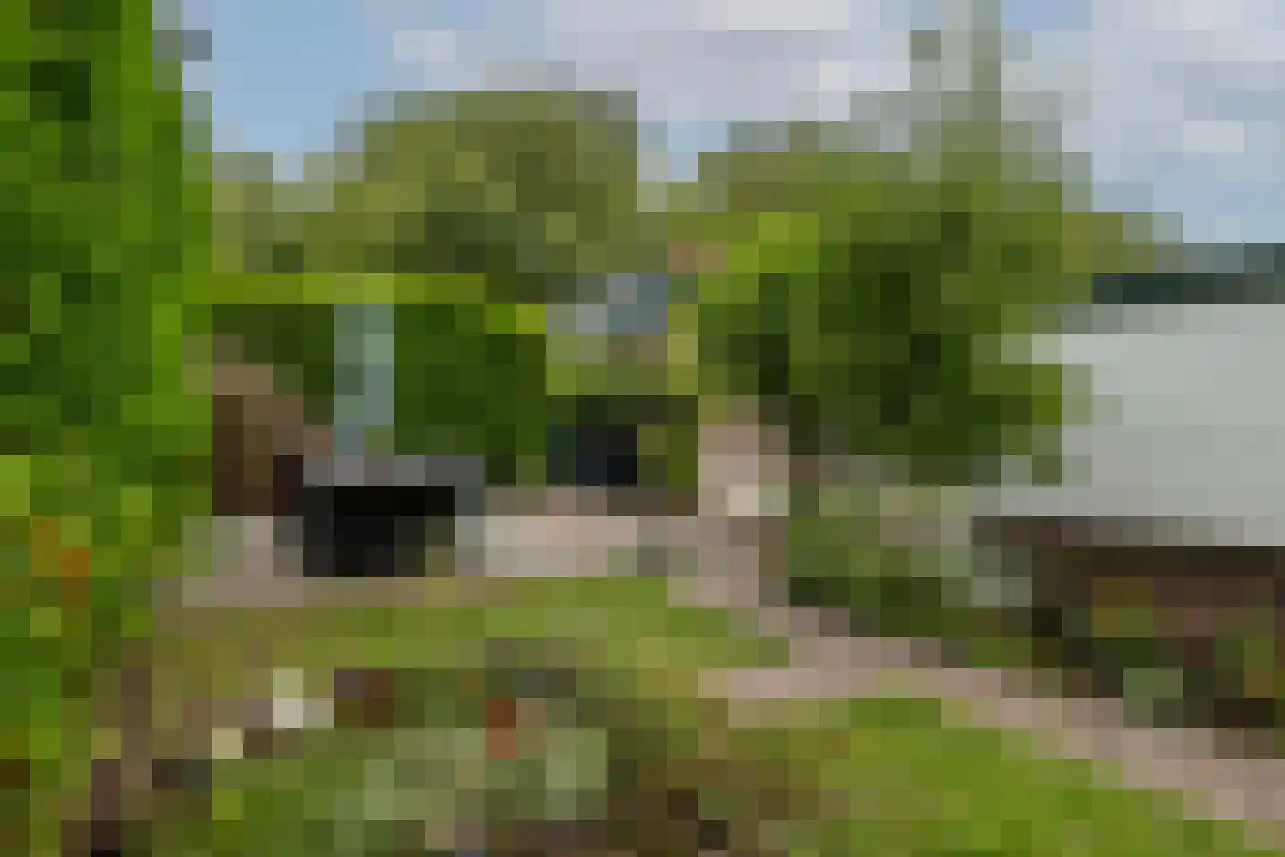 Koninginneweg 73 Rotterdam thumbnail 49