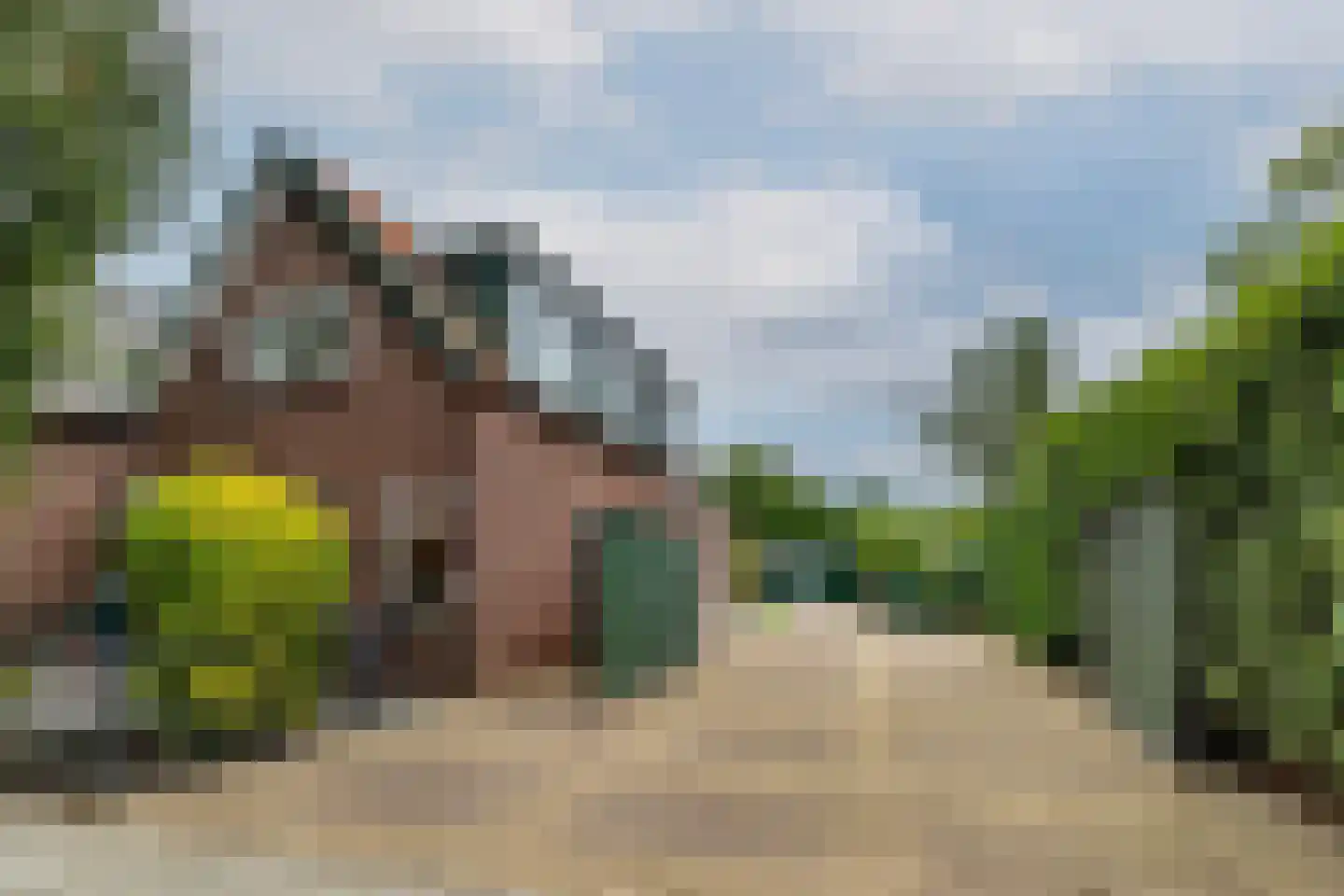 Koninginneweg 73 Rotterdam thumbnail 5