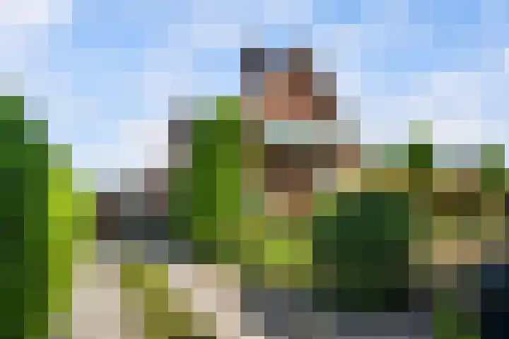 Koninginneweg 89 Oud-Beijerland thumbnail 10