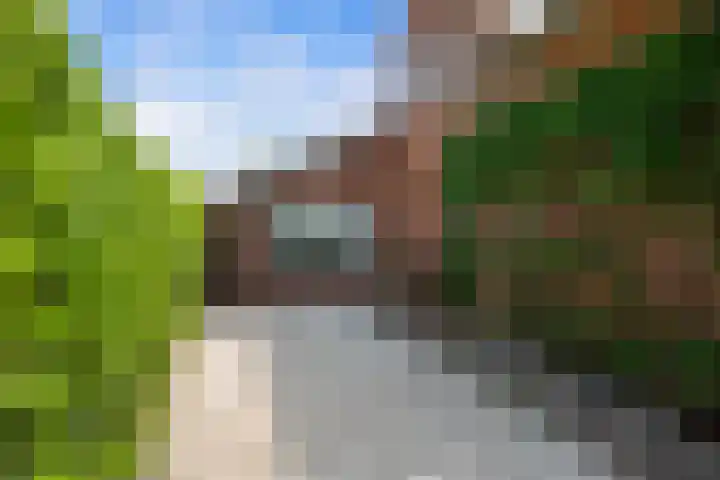Koninginneweg 89 Oud-Beijerland thumbnail 11