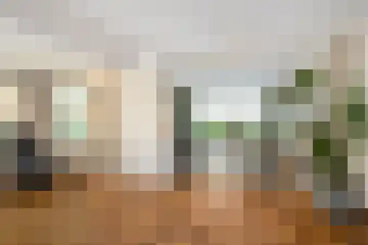 Koninginneweg 89 Oud-Beijerland thumbnail 34