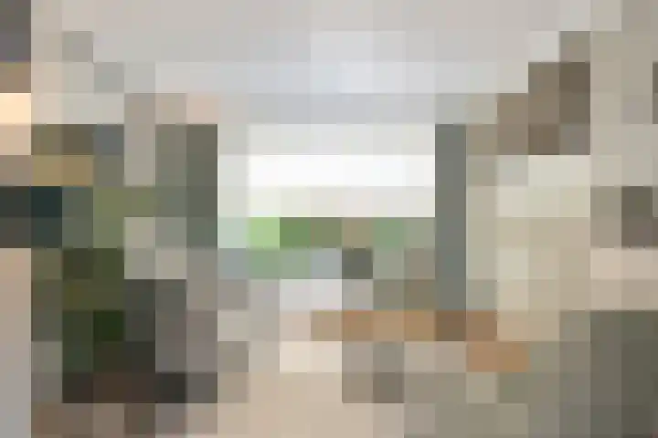 Koninginneweg 89 Oud-Beijerland thumbnail 36