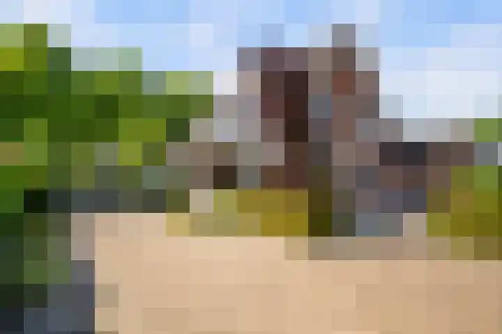 Koninginneweg 89 Oud-Beijerland thumbnail 59