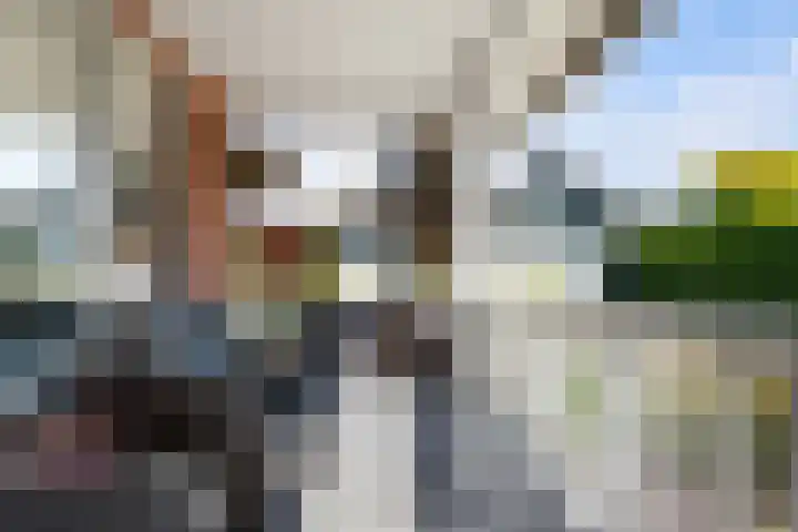 Koninginneweg 89 Oud-Beijerland thumbnail 60