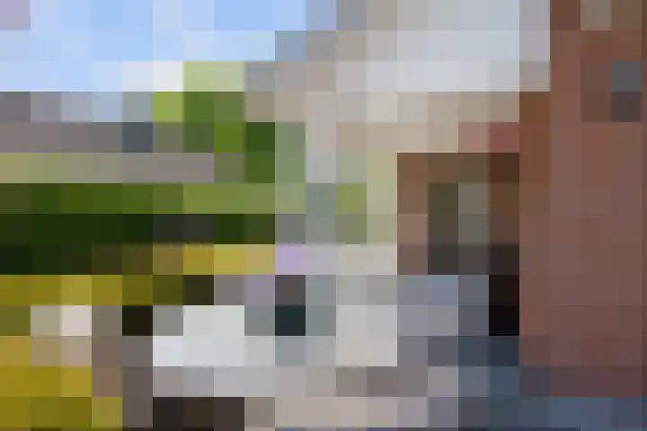 Koninginneweg 89 Oud-Beijerland thumbnail 61