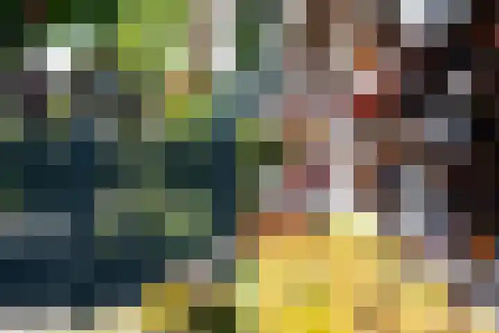 Koninginneweg 89 Oud-Beijerland thumbnail 62