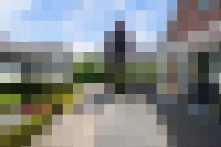 Koninginneweg 89 Oud-Beijerland thumbnail 64