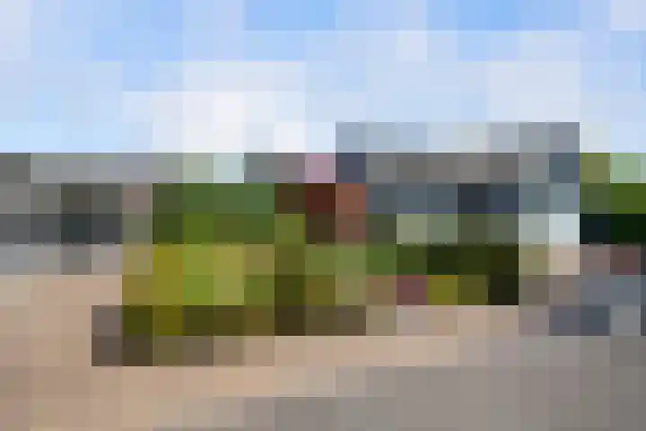 Koninginneweg 89 Oud-Beijerland thumbnail 65