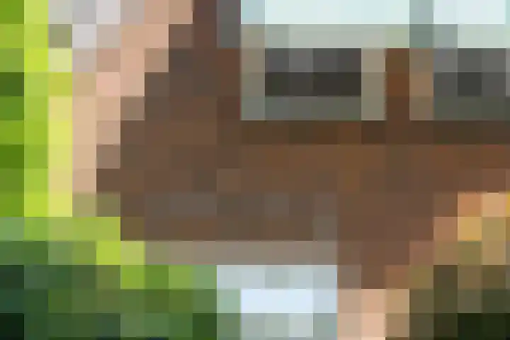Koninginneweg 89 Oud-Beijerland thumbnail 7