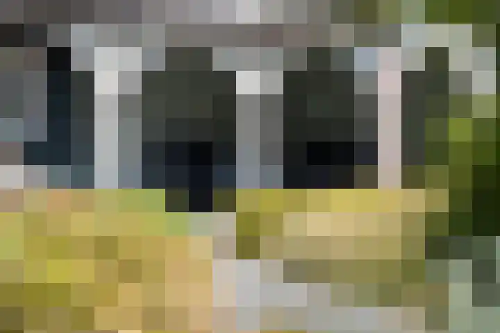 Koninginneweg 89 Oud-Beijerland thumbnail 75