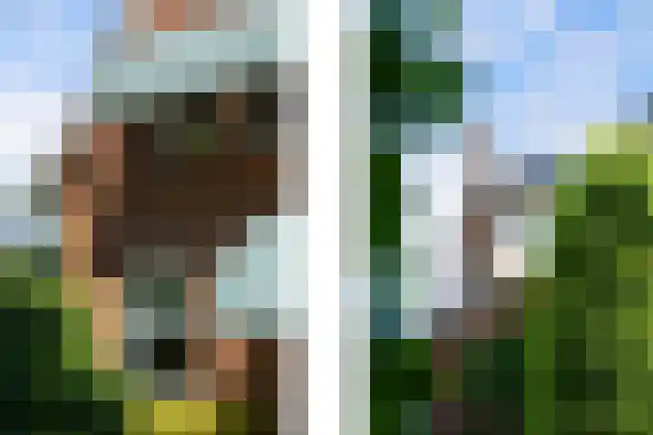 Koninginneweg 89 Oud-Beijerland thumbnail 76