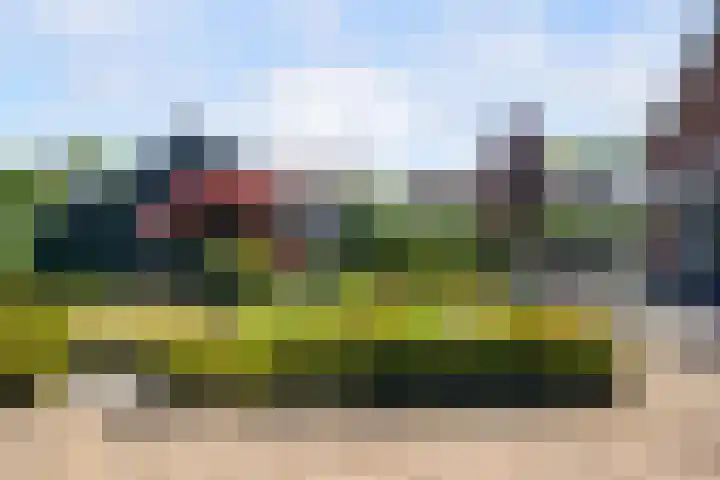 Koninginneweg 89 Oud-Beijerland thumbnail 78