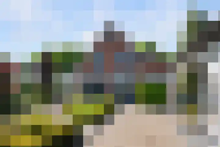 Koninginneweg 89 Oud-Beijerland thumbnail 8