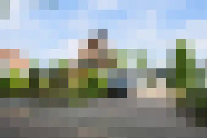 Koninginneweg 89 Oud-Beijerland thumbnail 80