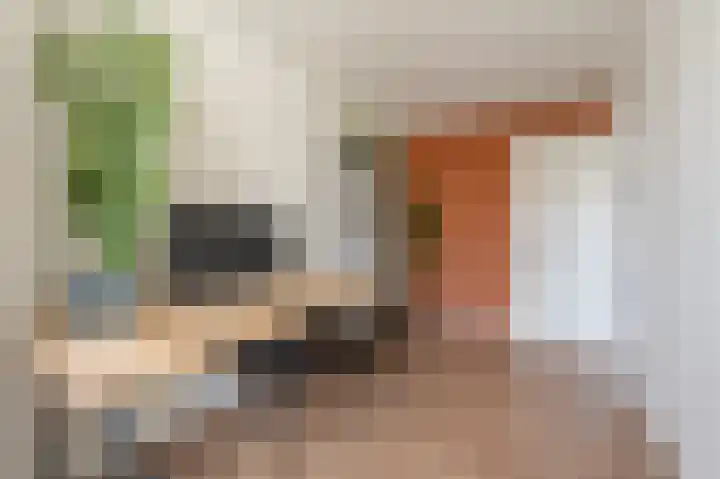 Koninginneweg 96 Oud-Beijerland thumbnail 19
