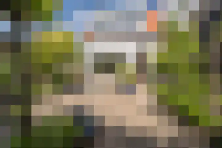 Koninginneweg 96 Oud-Beijerland thumbnail 28