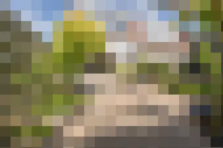 Koninginneweg 96 Oud-Beijerland thumbnail 29
