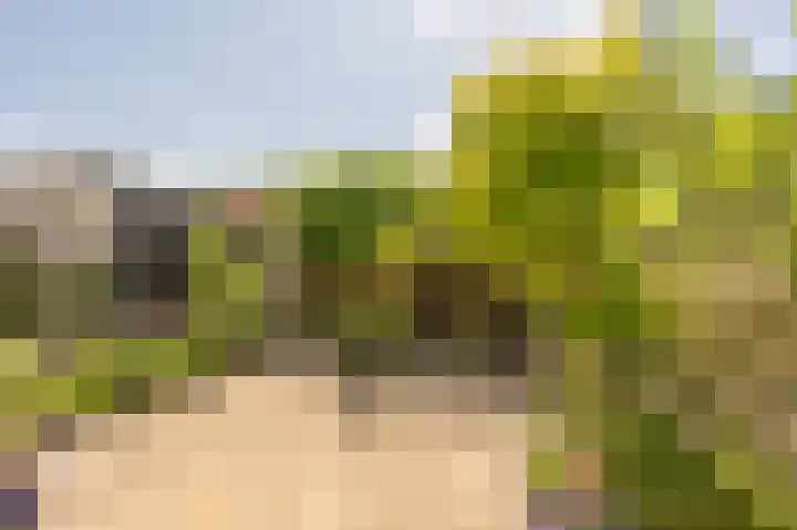 Koninginneweg 96 Oud-Beijerland thumbnail 30