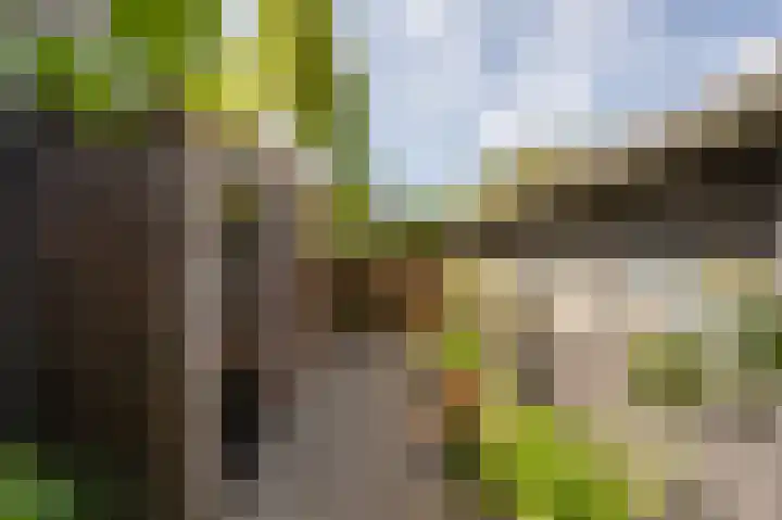 Koninginneweg 96 Oud-Beijerland thumbnail 33