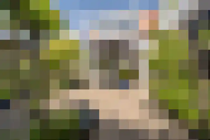 Koninginneweg 96 Oud-Beijerland thumbnail 38