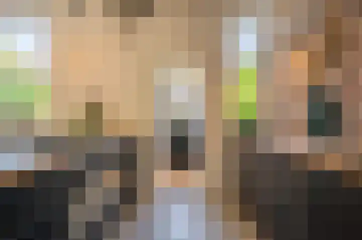 Koninginneweg 96 Oud-Beijerland thumbnail 4