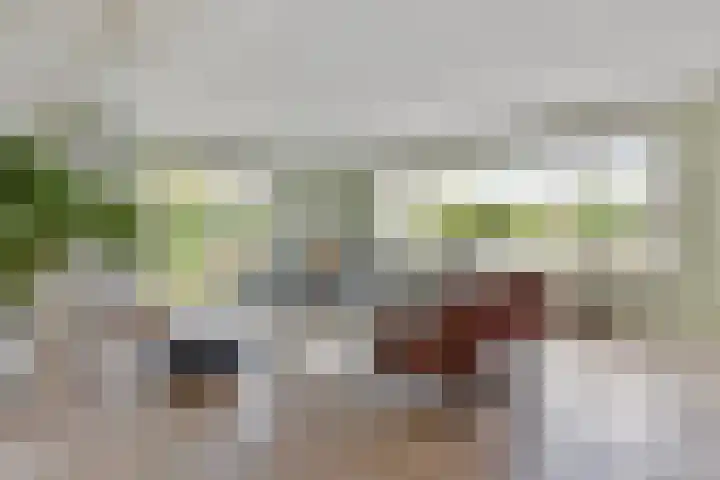 Koninglaan 2 Helmond thumbnail 12