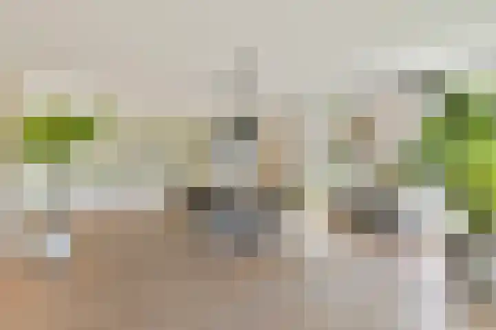 Koninglaan 2 Helmond thumbnail 17