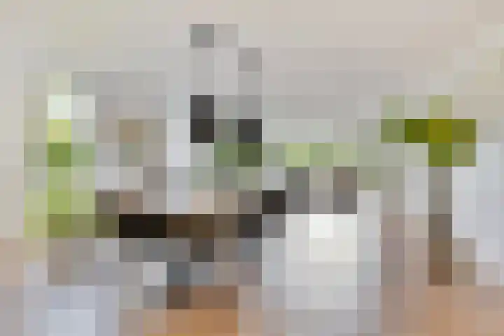 Koninglaan 2 Helmond thumbnail 18