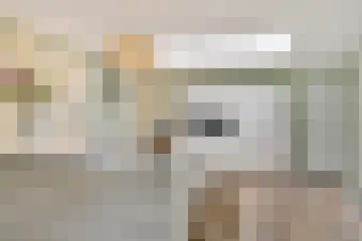 Koninglaan 2 Helmond thumbnail 20