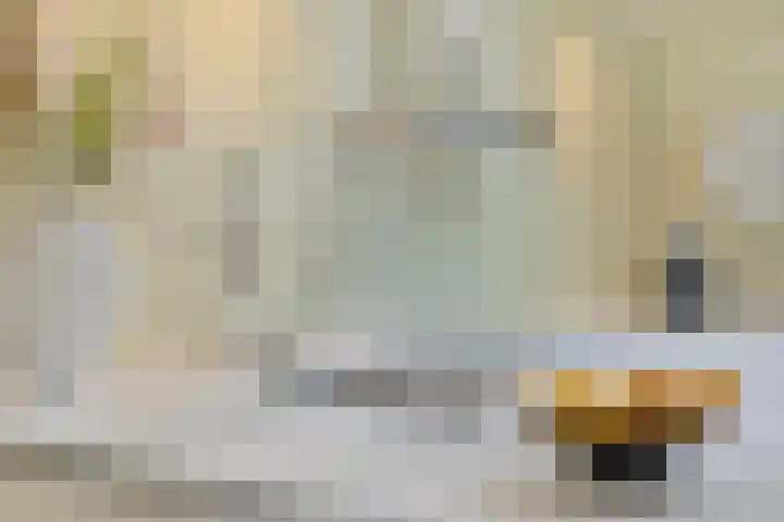 Koninglaan 2 Helmond thumbnail 22