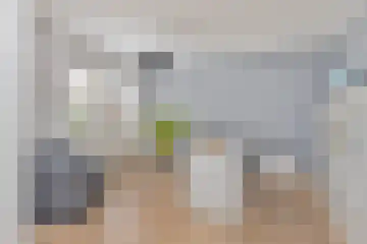 Koninglaan 2 Helmond thumbnail 28