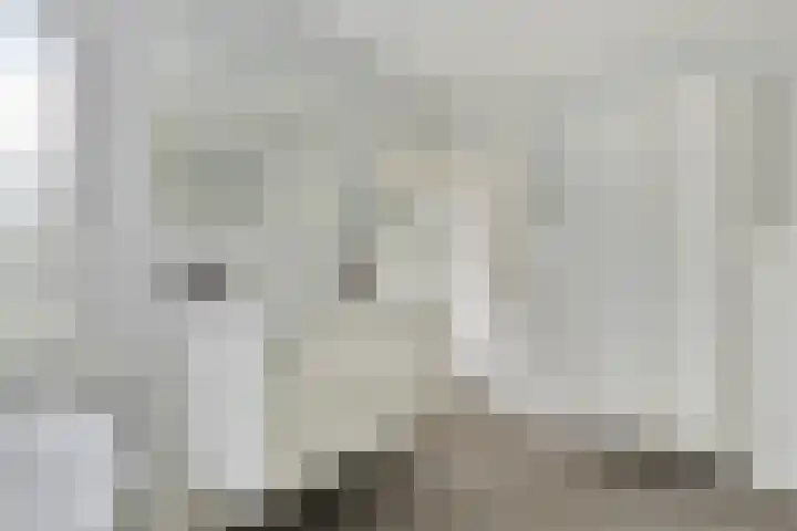 Koninglaan 2 Helmond thumbnail 37