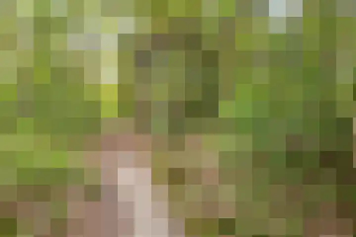 Koninglaan 2 Helmond thumbnail 6