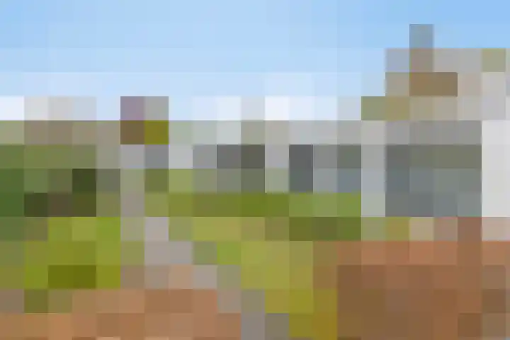 Koninglaan 2 Helmond thumbnail 8