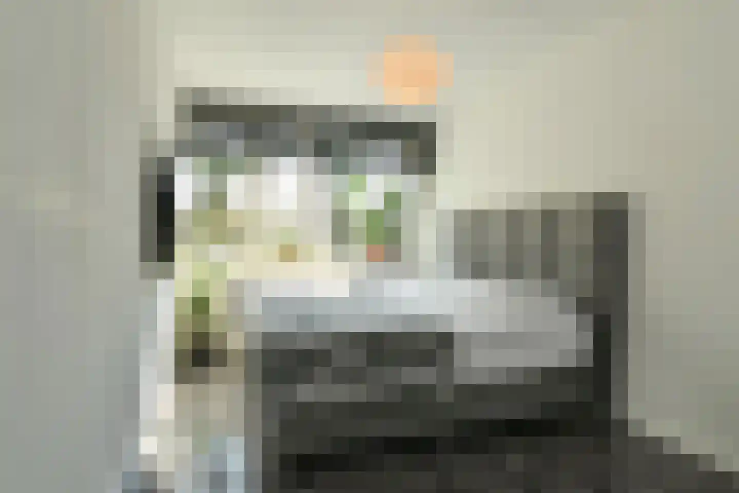 Koningsberg 16 Doorwerth thumbnail 20