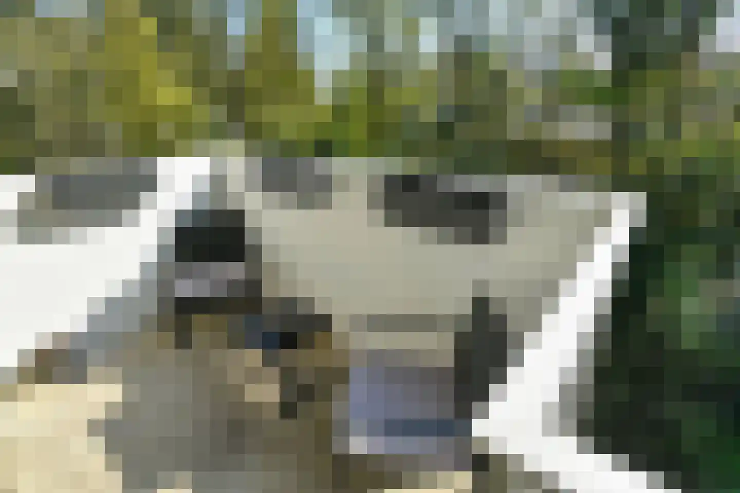 Koningsberg 16 Doorwerth thumbnail 31