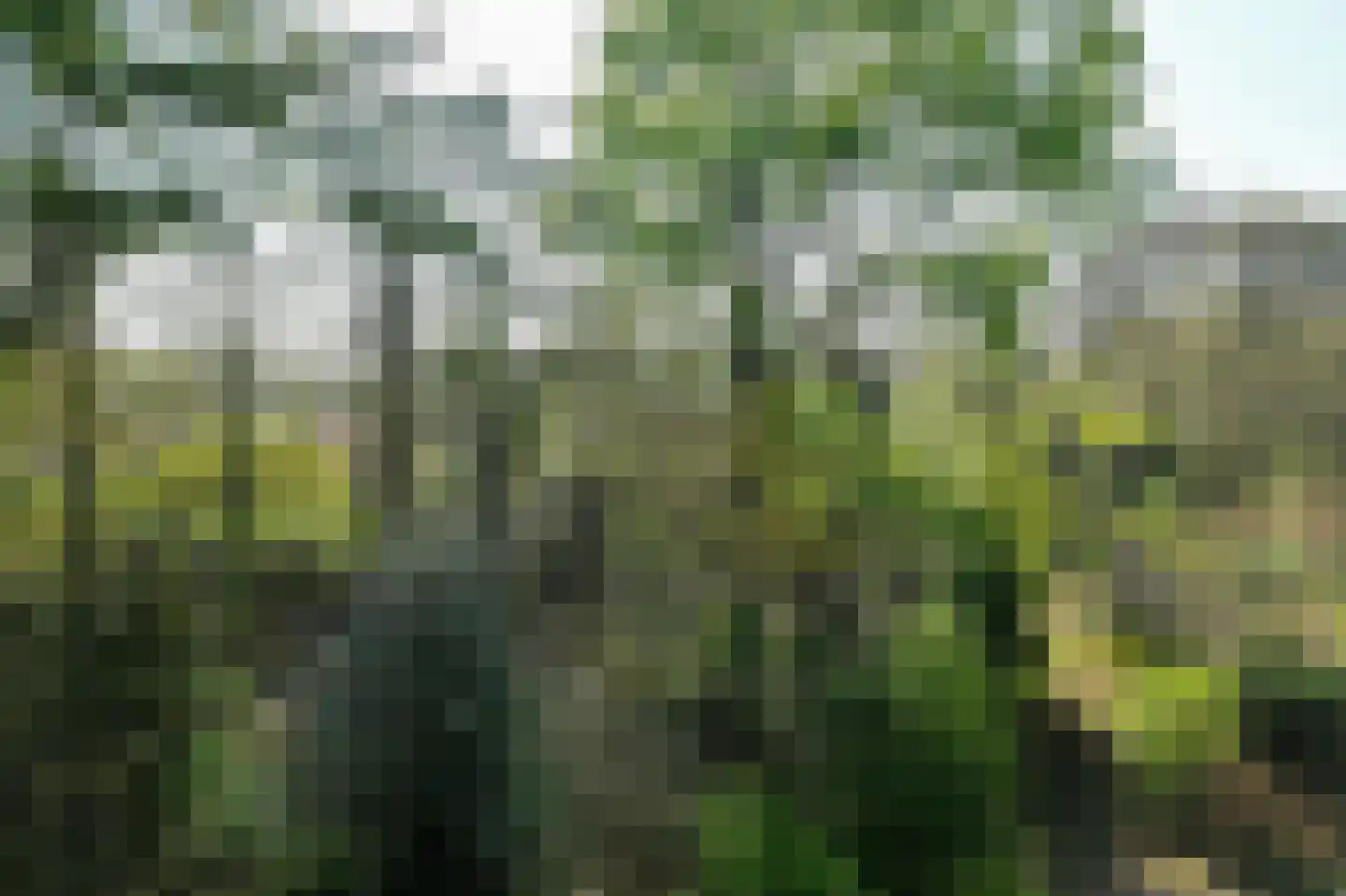 Koningsberg 16 Doorwerth thumbnail 34