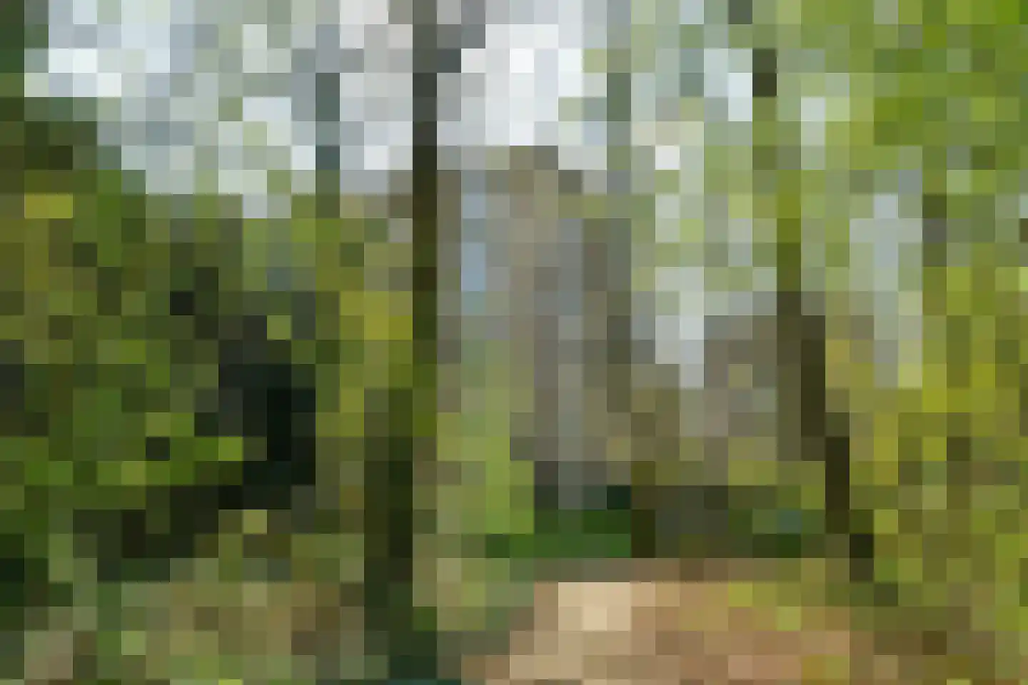 Koningsberg 16 Doorwerth thumbnail 39