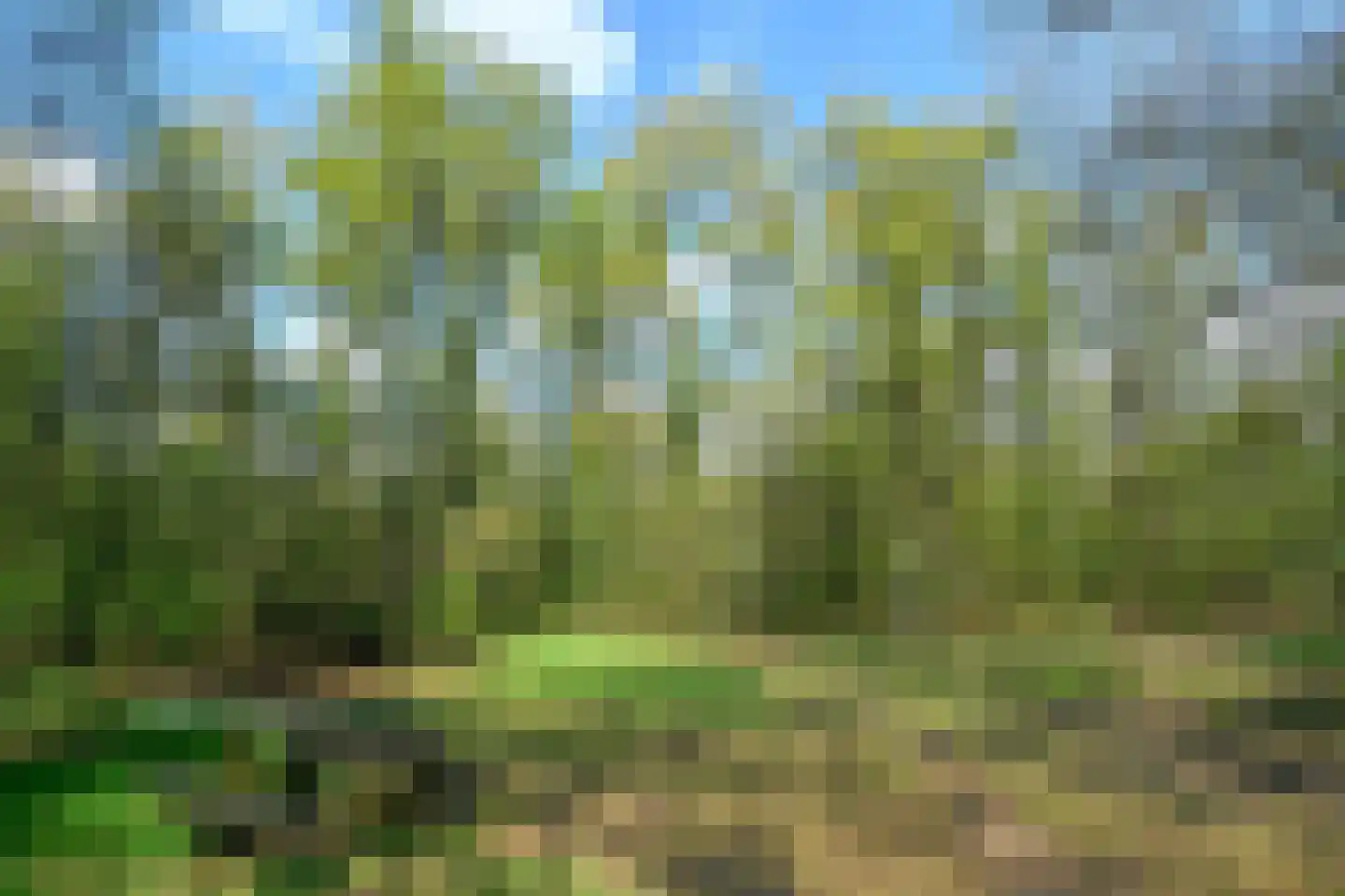 Koningsberg 16 Doorwerth thumbnail 41