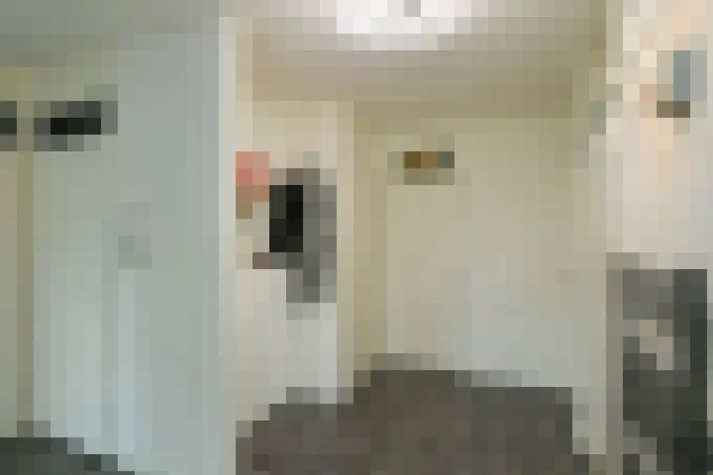 Koningsberg 16 Doorwerth thumbnail 8