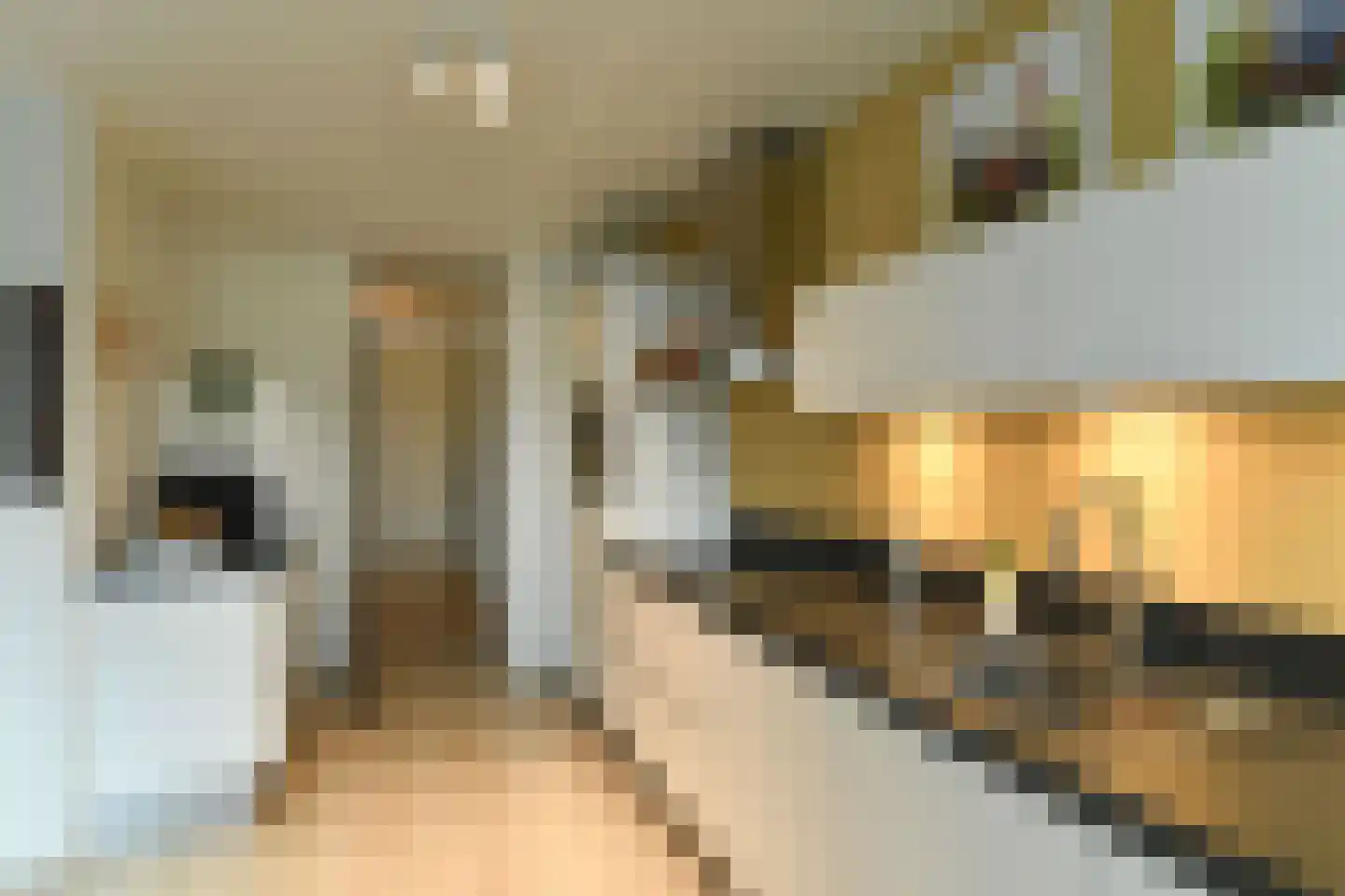 Koningsberg 20 Doorwerth thumbnail 17