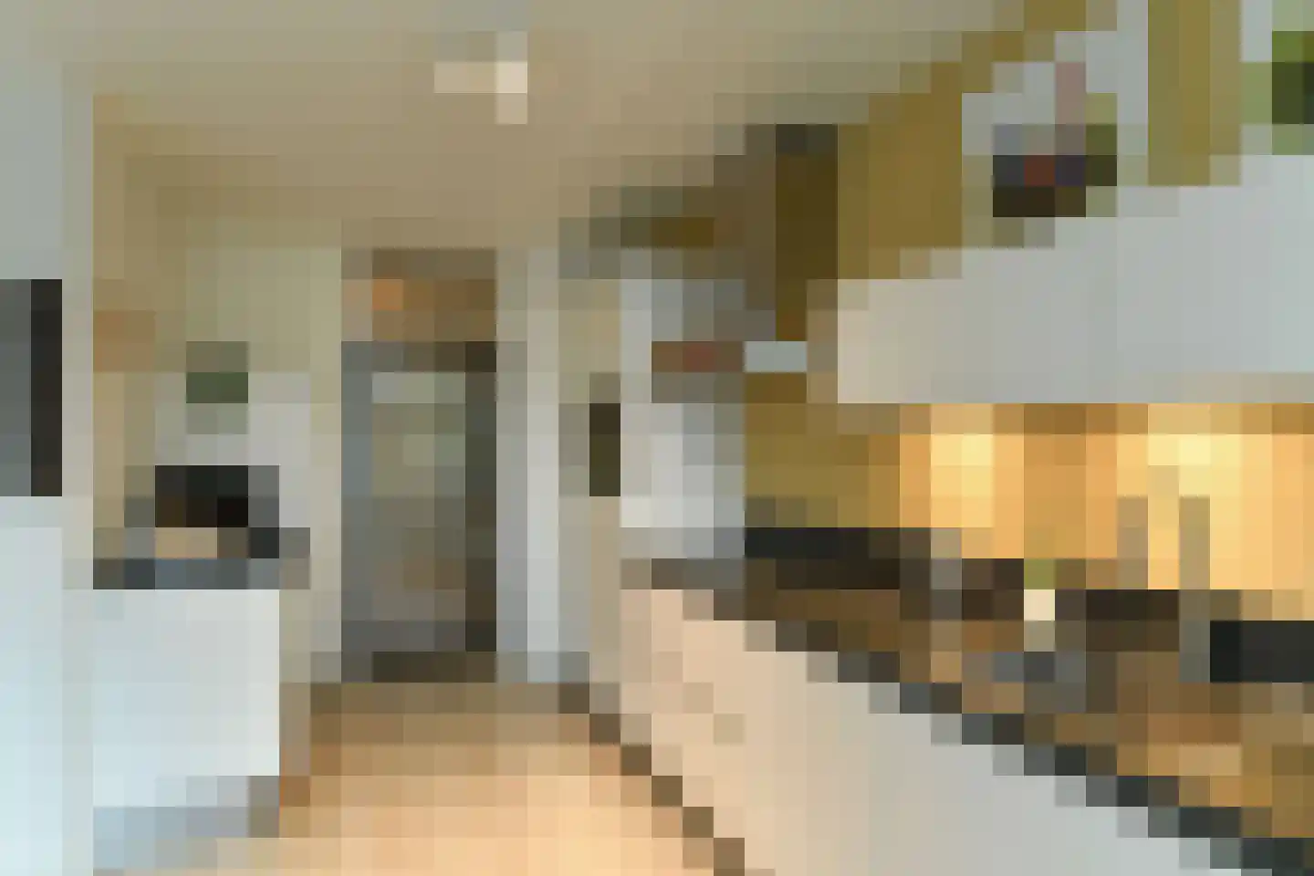Koningsberg 20 Doorwerth thumbnail 18