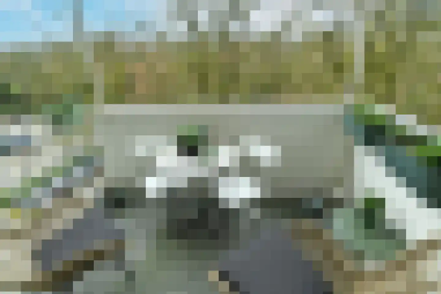 Koningsberg 20 Doorwerth thumbnail 20