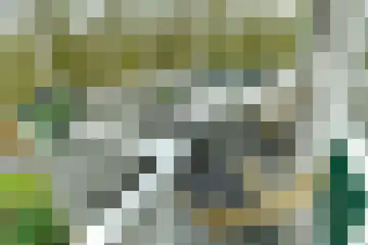 Koningsberg 20 Doorwerth thumbnail 21